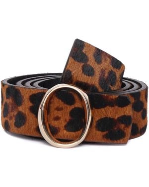 Orciani Belts - Marrón