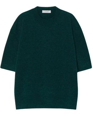 Pomandère Truien & Vesten ,Groen ,Wol Fijngebreid T-Shirt Van Alpaca