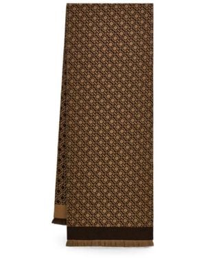 Ferragamo Winter Scarves - Brown