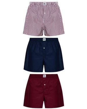 Lacoste Bottoms - Violet