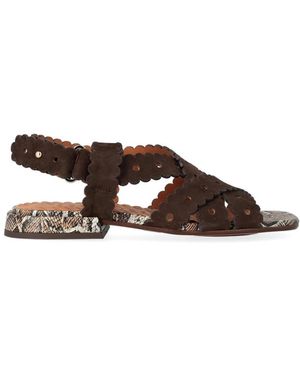 Chie Mihara Tybi Sandal - Bruin