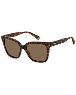 Polaroid Sunglasses - Brown