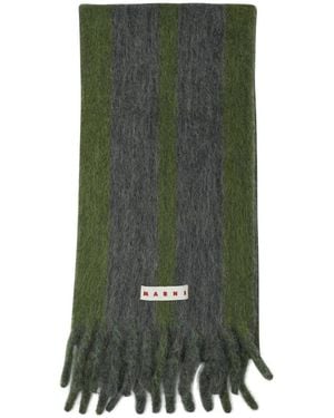 Marni Winter Scarves - Vert
