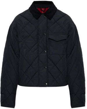 Canada Goose Light Jackets - Blu