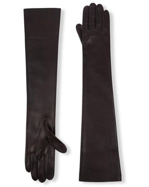 Cortana Gloves - Marrón