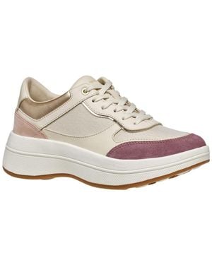 Geox Sneakers - Gris