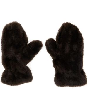 Apparis Gloves - Black