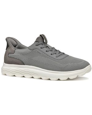 Geox Sneakers - Gris