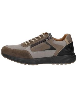 Australian Hawker Veterschoenen Laag - Braun