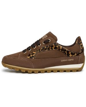 Candice Cooper Sneakers - Marron