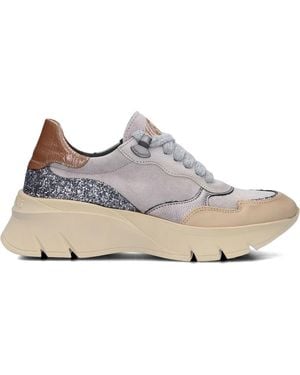 Hispanitas Trainers - Grey