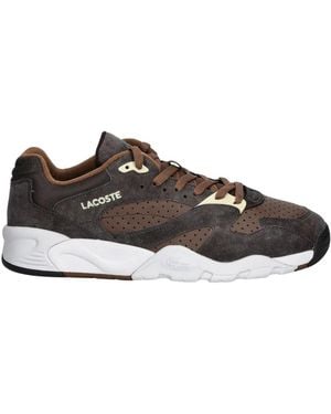 Lacoste Sneakers - Marrone
