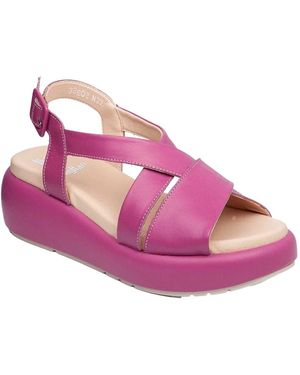 Callaghan Flat Sandals - Rose