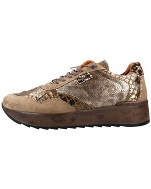 Cetti Sneakers - Marron