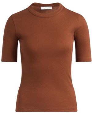 IVY & OAK Kristin Top - Braun