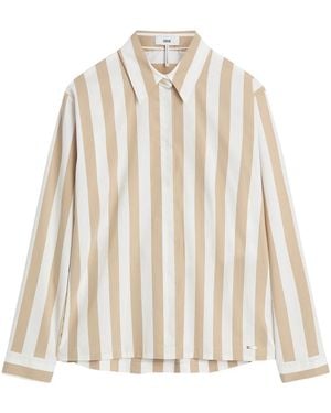 Cinque Shirts - Neutro