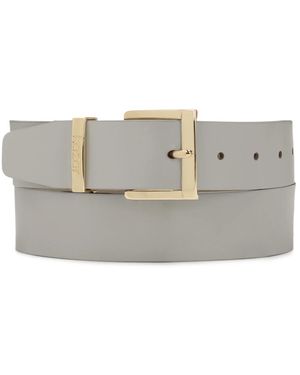 Kazar Belts - Gris