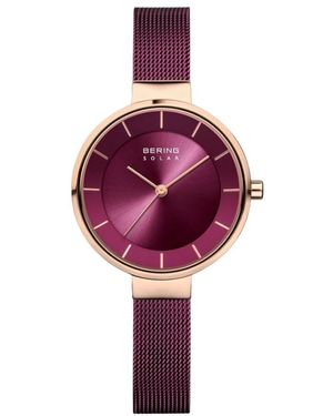 Bering Watches - Purple