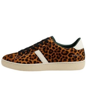 Date Sneakers - Bruin