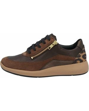 SOLIDUS Sneakers - Braun