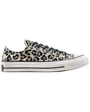 Converse Chuck 70 Ox - Wit