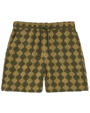 Oas Short Shorts - Vert