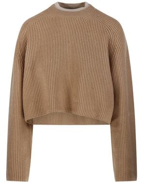 Max Mara Round-Neck Knitwear - Bruin