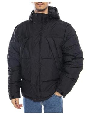 Timberland Winter Jackets - Azul