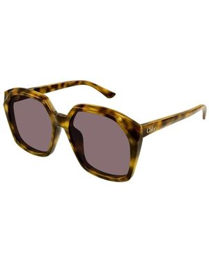 Chloé Sunglasses - Brown