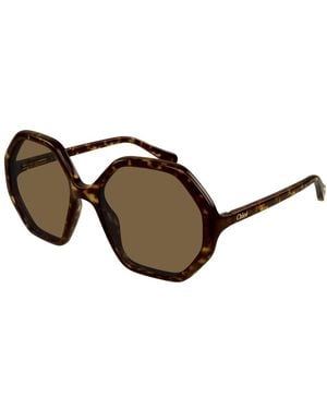 Chloé Cc0004S Sonnenbrille - Braun