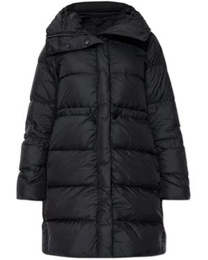 Canada Goose Down Coats - Negro
