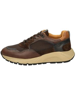 Ambitious Trainers - Brown
