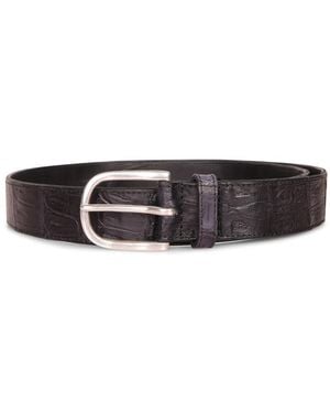 Orciani Belts - Black