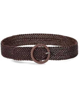 Dragon Diffusion Belts - Marrón
