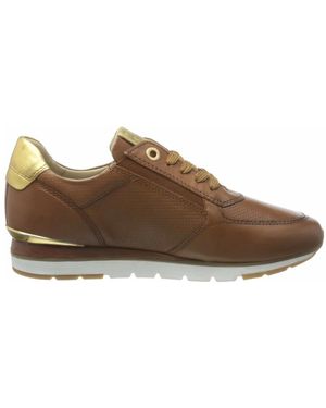Marco Tozzi Klassische Erwachsenenschuhe Stilvoll Und Vielseitig - Braun