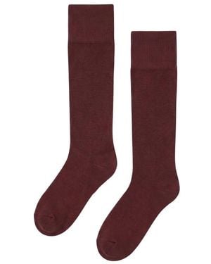 Wolford Kniehohe Socken Aus Baumwollmischung - Braun