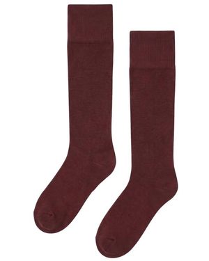 Wolford Ondergoed ,Rood ,Katoen Kniekousen Van Egyptisch Katoenmix - Bruin