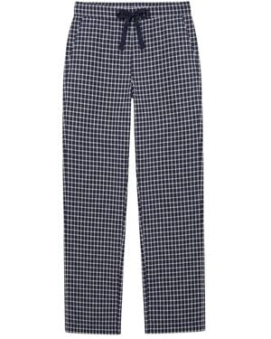 8pm Joggers - Blue