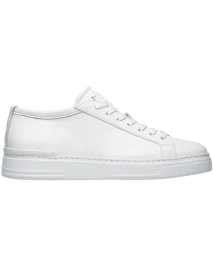 Fabi Trainers - White