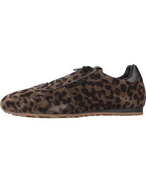 Cetti Deportiva Leopardo - Bruin