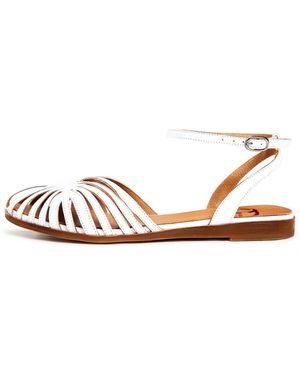 CESARE GASPARI Flat Sandals - Marrone
