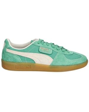 PUMA Skate Shoes - Verde