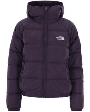 The North Face Training Jackets - Azul