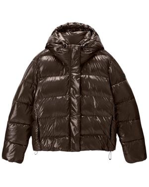 Napapijri Winter Jackets - Marrone