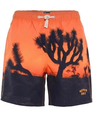Superdry Beachwear - Blue
