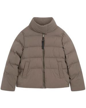 Cinque Winter Jackets - Brown