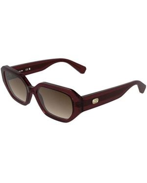 Lacoste Sunglasses - Brown