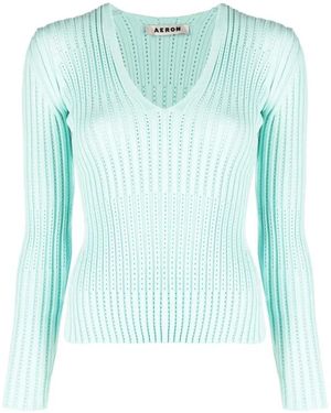 Aeron Groene V-Hals Trui - Blauw
