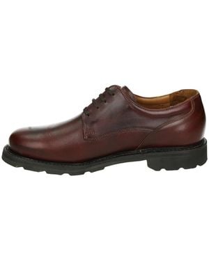 van Bommel Sneakers - Braun