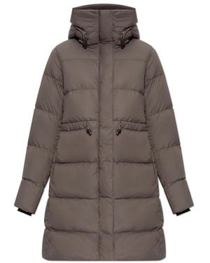Canada Goose Down Coats - Marron